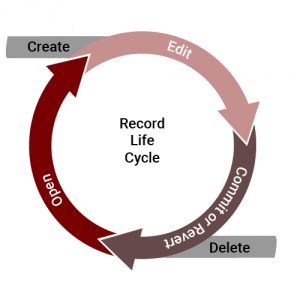 FileMaker drag and drop
